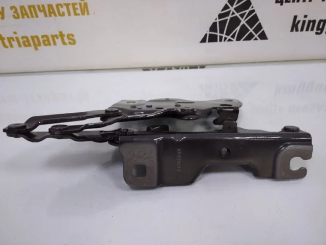 Петля капота левая для BMW X5 G05 2018+ на фотографиях