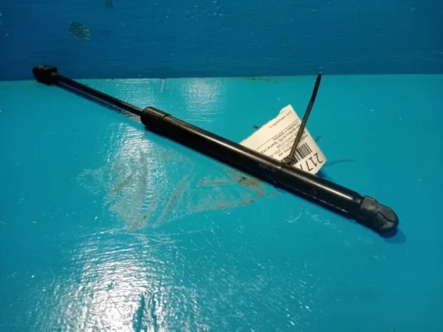 Амортизатор капота правый для Nissan Teana L33 2014-2020 на фотографиях