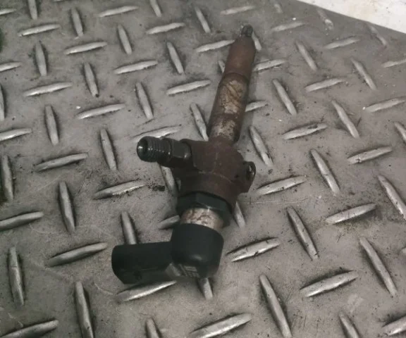 Форсунка топливная для Ford Galaxy CD340 2006-2015 на фотографиях