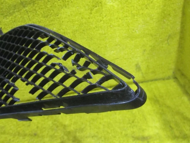 Решетка переднего бампера для Mercedes-Benz S class W222 2013-2017 на фотографиях