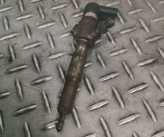 Форсунка топливная для Ford Galaxy CD340 2006-2015 на фотографиях