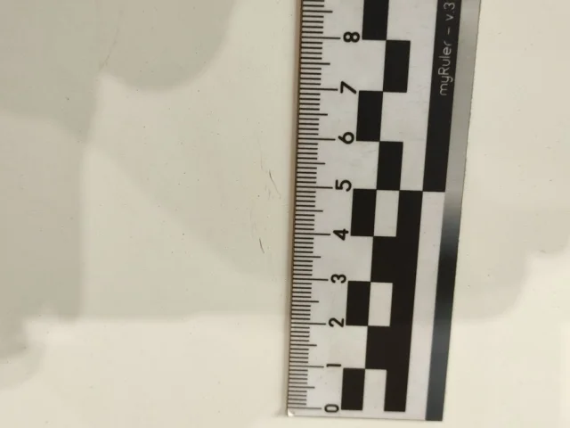 Дверь багажника для Mercedes-Benz S class W220 1998-2005 на фотографиях