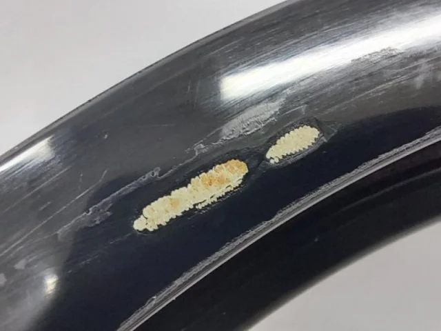 Двери для Infiniti QX 56 2010-2014 на фотографиях