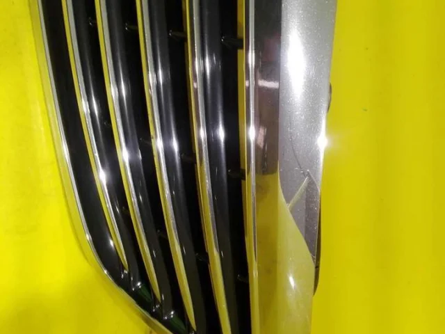 Решетка радиатора для Mercedes-Benz S class W222 2013-2017 на фотографиях