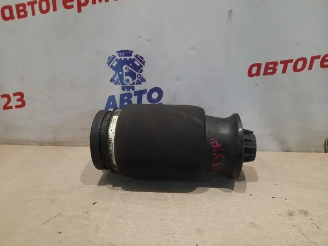 Пневмостойка задняя левая для Mercedes-Benz GL class X164 2006-2012 на фотографиях