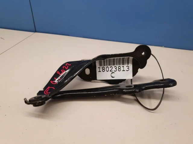 Петля капота левая для Skoda Octavia A7 на фотографиях