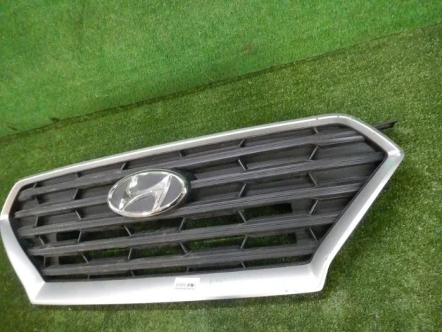 Решетка радиатора для Hyundai Creta 2 SU2 2021+ на фотографиях