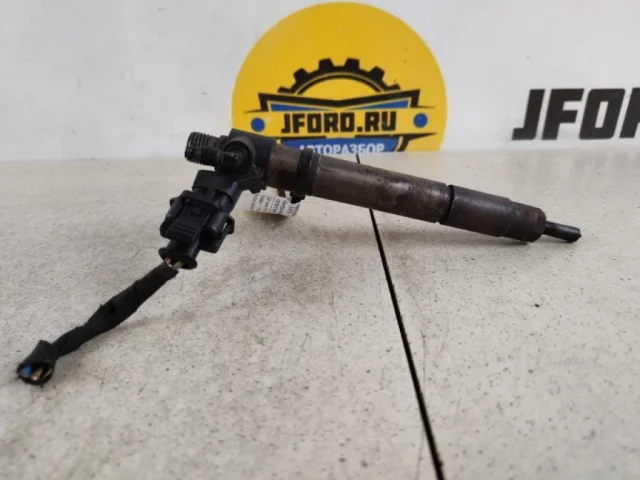 Форсунка топливная для Ford Galaxy CD340 2006-2015 на фотографиях