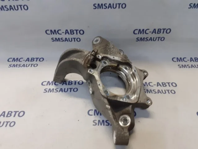 Цапфа задняя левая для Mercedes-Benz S class W221 2005-2013 на фотографиях