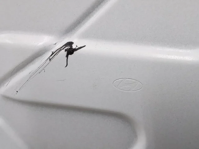 Дверь передняя правая для Hyundai Creta 2 SU2 2021+ на фотографиях