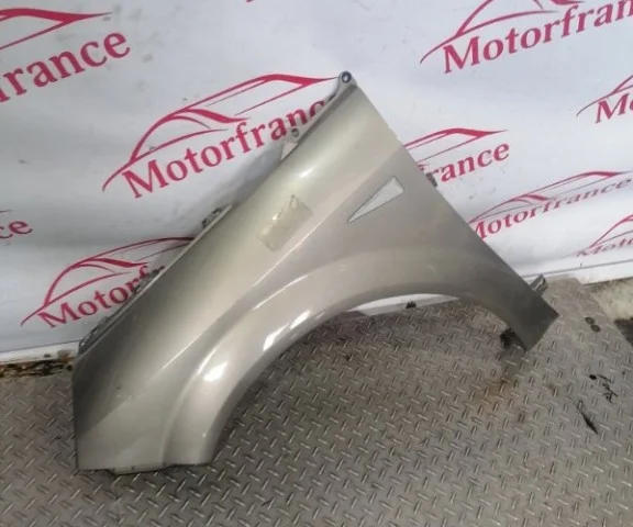 Крыло левое для Renault Scenic JM rest 2006-2009 на фотографиях