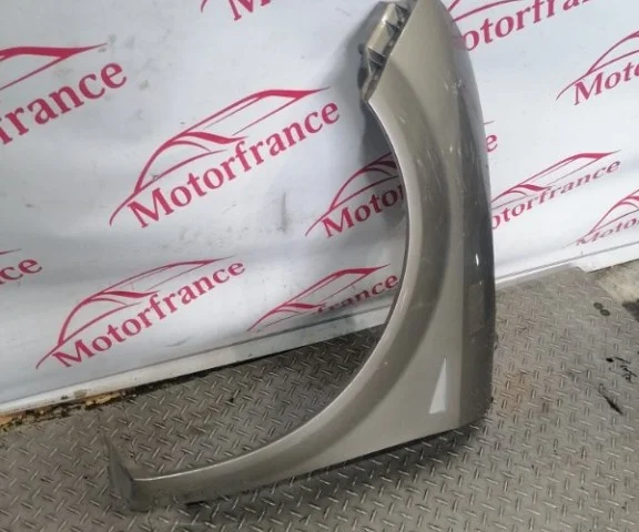 Крыло левое для Renault Scenic JM rest 2006-2009 на фотографиях