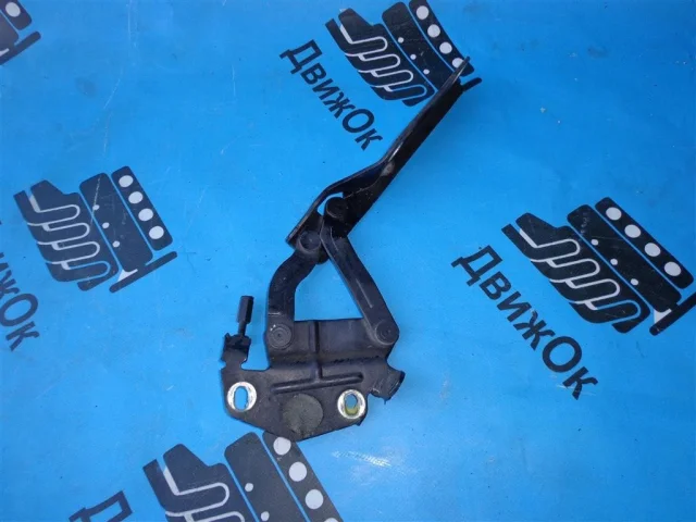 Петля капота правая для Volkswagen Passat (B6, Typ 3C) 2005-2010 на фотографиях