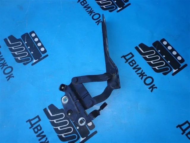 Петля капота правая для Volkswagen Passat (B6, Typ 3C) 2005-2010 на фотографиях