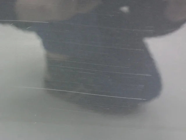 Двери для Audi A4 B9 Avant 2015+ на фотографиях