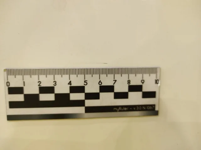 Дверь задняя правая для Mercedes-Benz S class W220 1998-2005 на фотографиях