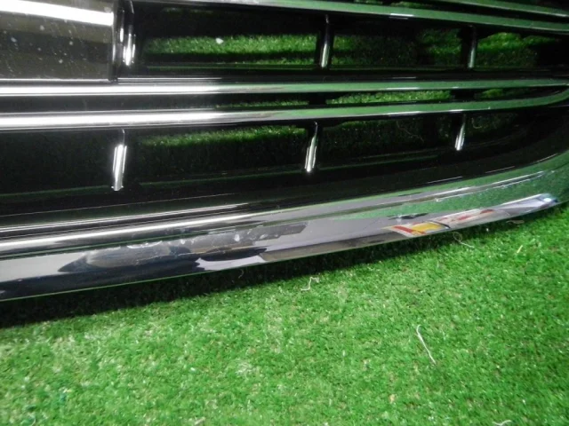 Решетка радиатора для Mercedes-Benz S class W222 2013-2017 на фотографиях