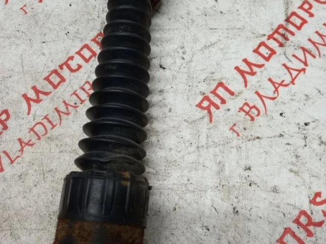 Амортизатор задний левый для Citroen C4 Хэтчбек 3dr 2004-2011 на фотографиях