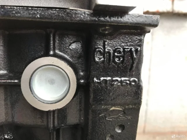 Двигатель без навесного для Vortex Tingo 2008-2014 на фотографиях