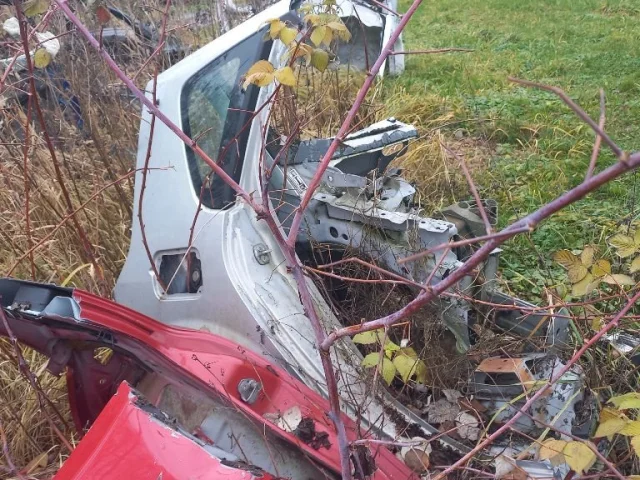 Крылья для Renault Scenic JM rest 2006-2009 на фотографиях