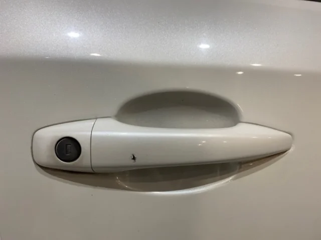 Двери для Citroen DS4 2011-2016 на фотографиях