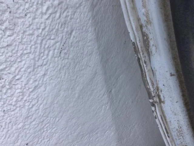 Дверь задняя левая для Volkswagen Passat (B8.5) 2019+ на фотографиях