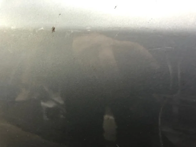 Дверь задняя левая для Citroen C4 Хэтчбек 2004-2011 на фотографиях