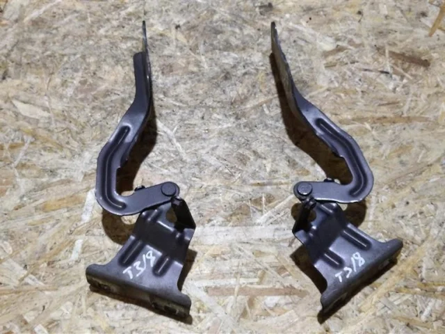 Петля капота правая для Nissan X-Trail T31 RU 2007-2014 на фотографиях