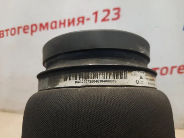Пневмостойка задняя левая для Mercedes-Benz GL class X164 2006-2012 на фотографиях