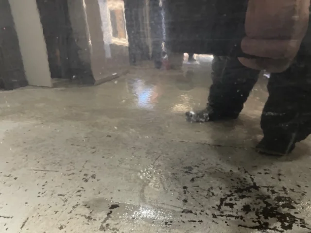 Дверь передняя левая для Citroen C4 Седан 2010-2016 на фотографиях