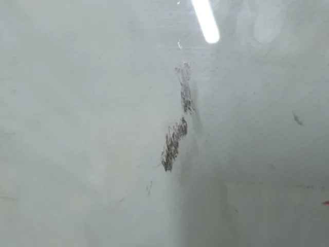 Стекла и зеркала для Infiniti QX 80 2013-2022 на фотографиях