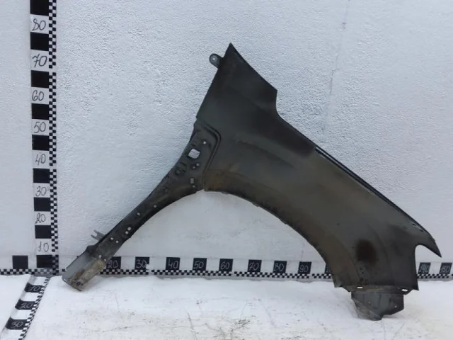 Крыло левое для Renault Duster HM 2020+ на фотографиях