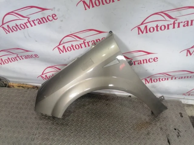 Крыло левое для Renault Scenic JM rest 2006-2009 на фотографиях