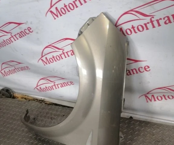 Крыло левое для Renault Scenic JM rest 2006-2009 на фотографиях