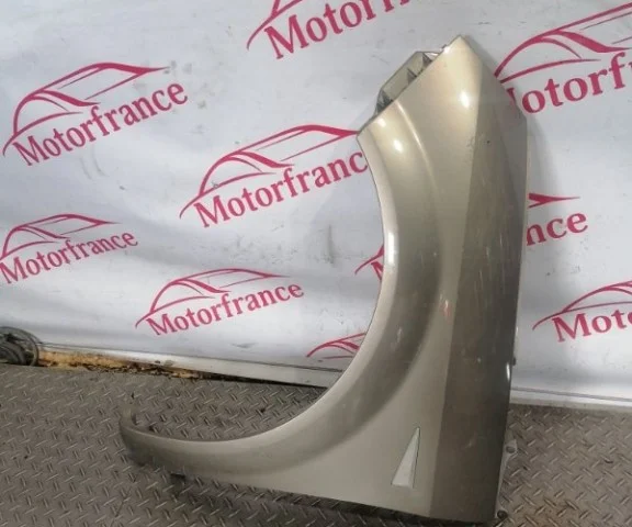 Крыло левое для Renault Scenic JM rest 2006-2009 на фотографиях