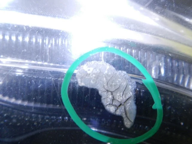 Фара правая для Audi A7 4G 2010-2014 на фотографиях