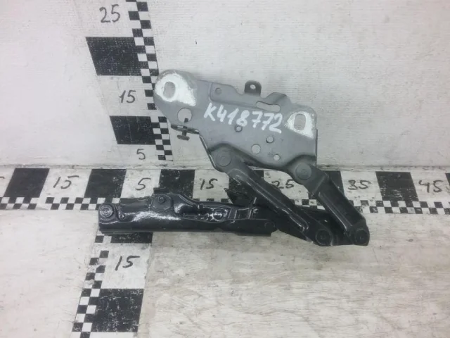 Петля капота правая для BMW X3 G01 2017-2023 на фотографиях