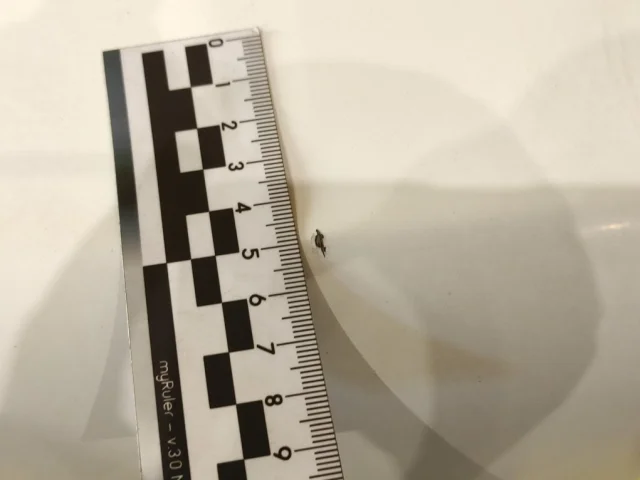 Дверь багажника для Mercedes-Benz S class W220 1998-2005 на фотографиях