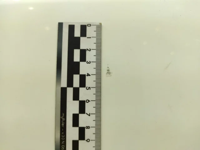 Дверь задняя левая для Mercedes-Benz S class W220 1998-2005 на фотографиях