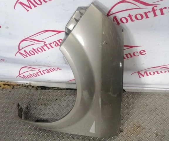 Крыло левое для Renault Scenic JM rest 2006-2009 на фотографиях