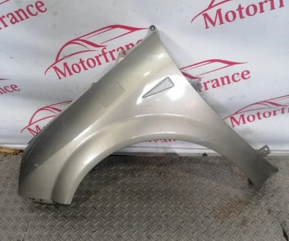 Крыло левое для Renault Scenic JM rest 2006-2009 на фотографиях