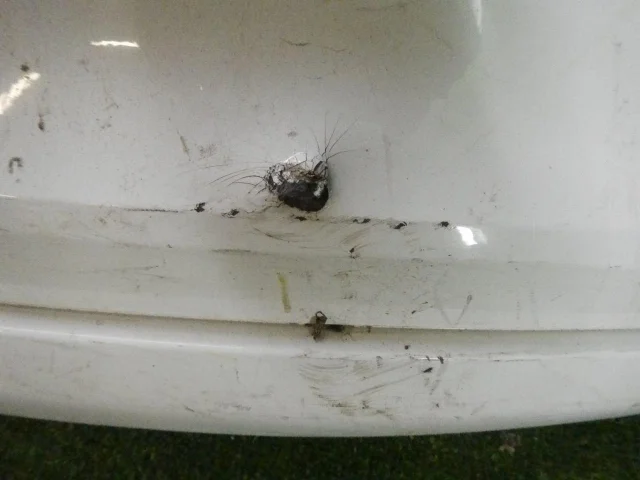 Бампер для Volkswagen Polo V (6R) 2009-2014 на фотографиях