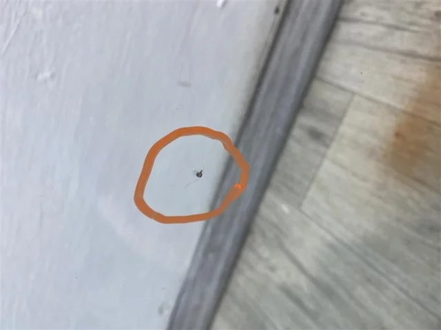 Лобовое (ветровое) стекло для Subaru Forester SJ 2013-2016 на фотографиях