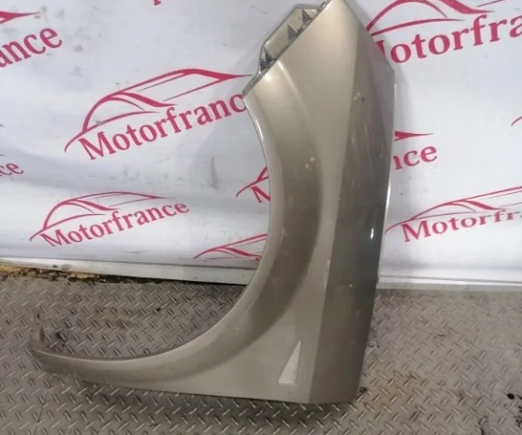 Крыло левое для Renault Scenic JM rest 2006-2009 на фотографиях