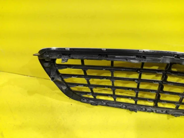 Решетка радиатора для Mercedes-Benz S class W222 2013-2017 на фотографиях