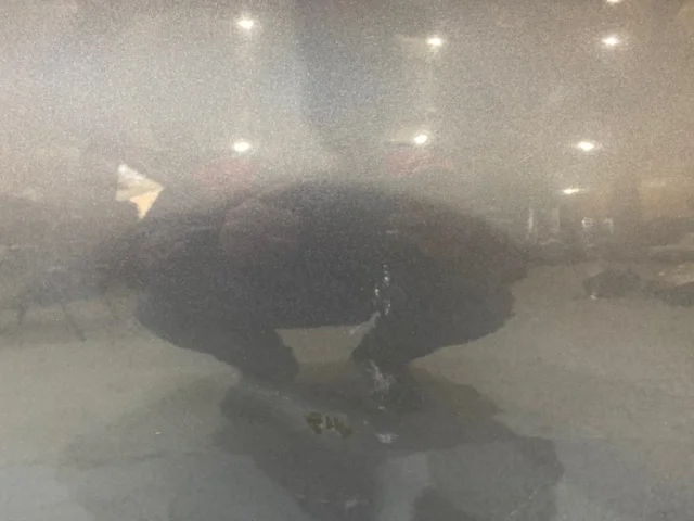 Дверь передняя правая для Citroen C4 Седан 2010-2016 на фотографиях