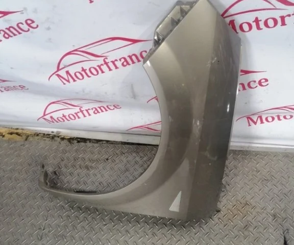 Крыло левое для Renault Scenic JM rest 2006-2009 на фотографиях