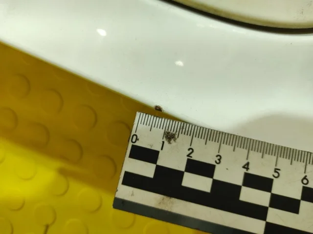 Дверь багажника для Mercedes-Benz S class W220 1998-2005 на фотографиях