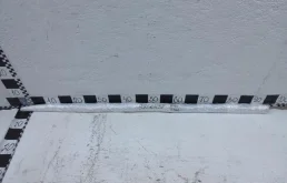 Молдинг двери передний правый для Nissan X-Trail 2014 года на фотографиях