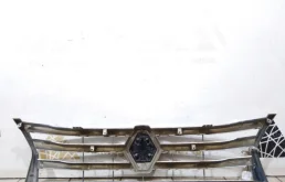 Решетка радиатора для Renault Duster 2011 года на фотографиях